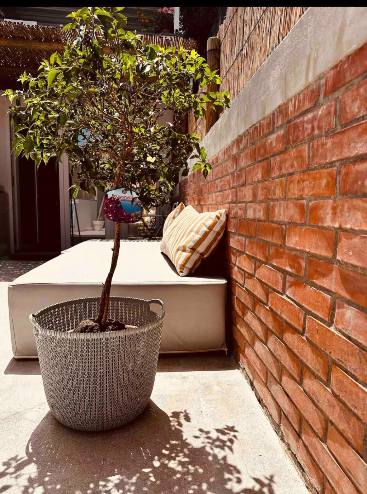 Casa Capri Mores エクステリア 写真